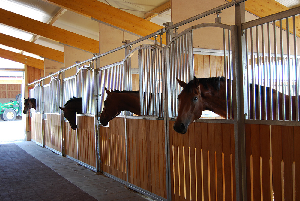 Horse Stable/Stall by Equine Design Partners
